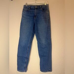 American Eagle Outfitters Blue Straight Leg Jeans